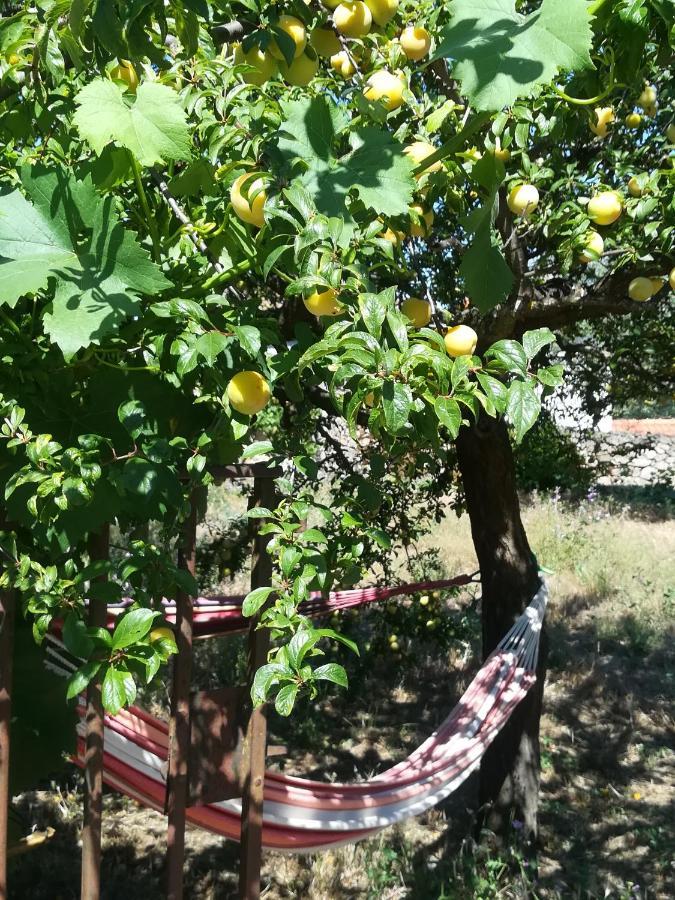 Solar Dos Carvalhos Bed & Breakfast Sernancelhe Luaran gambar